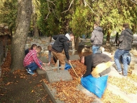 Wolontariusze Kopernika sprzątają groby._1