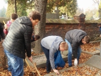 Wolontariusze Kopernika sprzątają groby._5