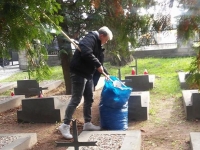 Wolontariusze Kopernika sprzątają groby._6
