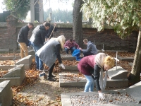 Wolontariusze Kopernika sprzątają groby.