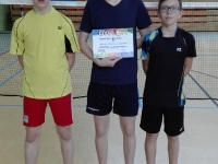 Zawody sportowe w badmintona